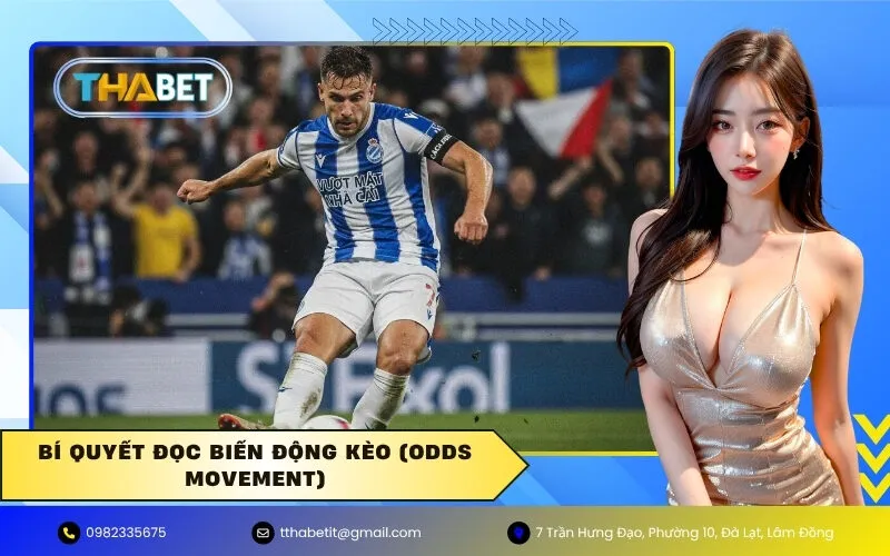 Bí Quyết Đọc Biến Động Kèo (Odds Movement)