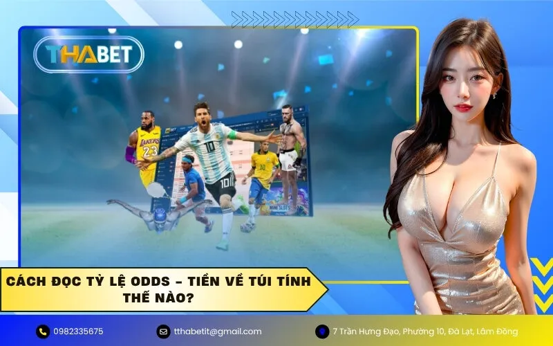 Cách đọc tỷ lệ Odds - Tiền về túi tính thế nào?