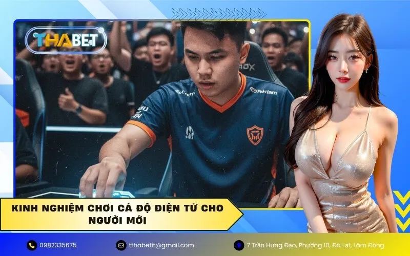 Kinh nghiệm chơi Cá độ điện tử cho người mới
