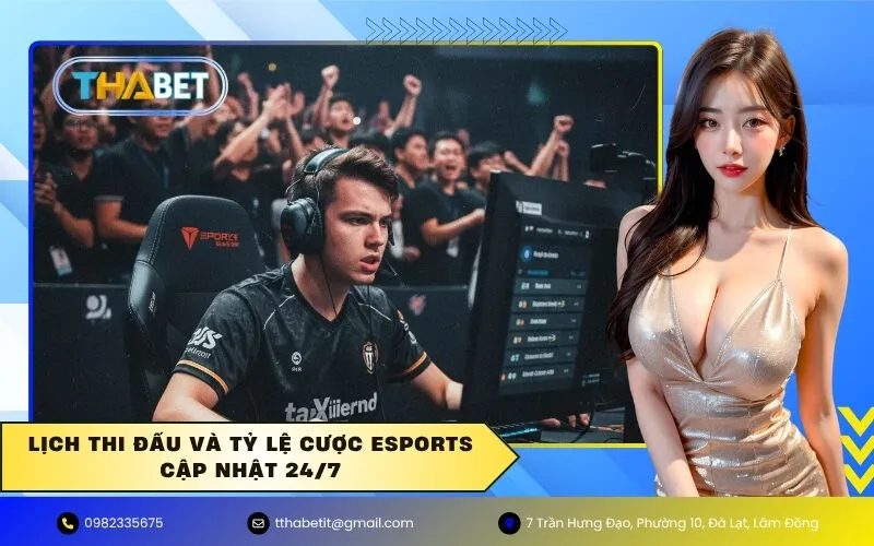 Lịch thi đấu và Tỷ lệ cược Esports cập nhật 24/7